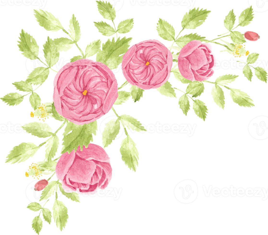 cadre de couronne de bouquet de roses roses aquarelle pour bannière ou logo png