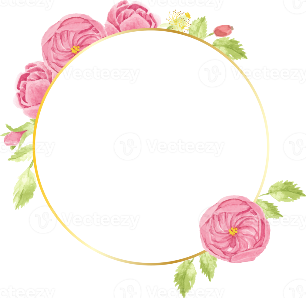 watercolor hand draw pink english rose flower bouquet wreath with geometric golden frame png
