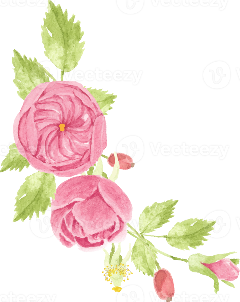 cadre de couronne de bouquet de roses roses aquarelle pour bannière ou logo png