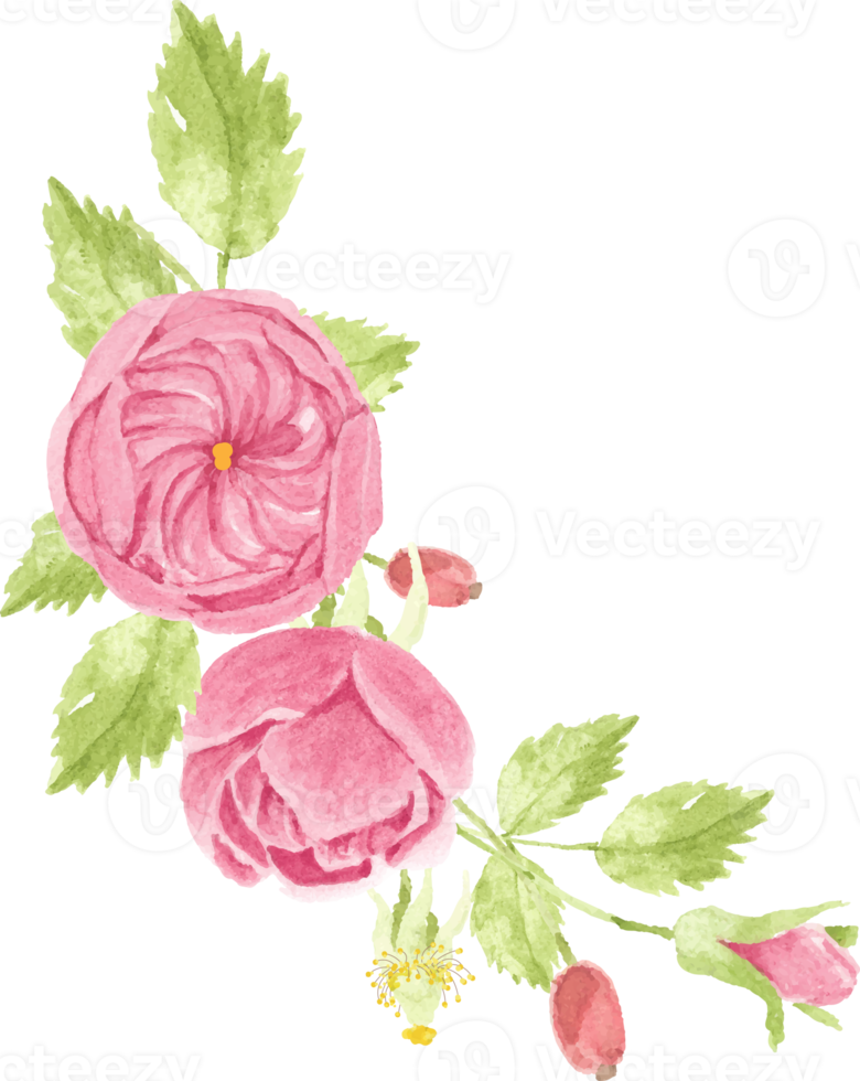 aquarell rosa rosenstrauß kranzrahmen für banner oder logo png