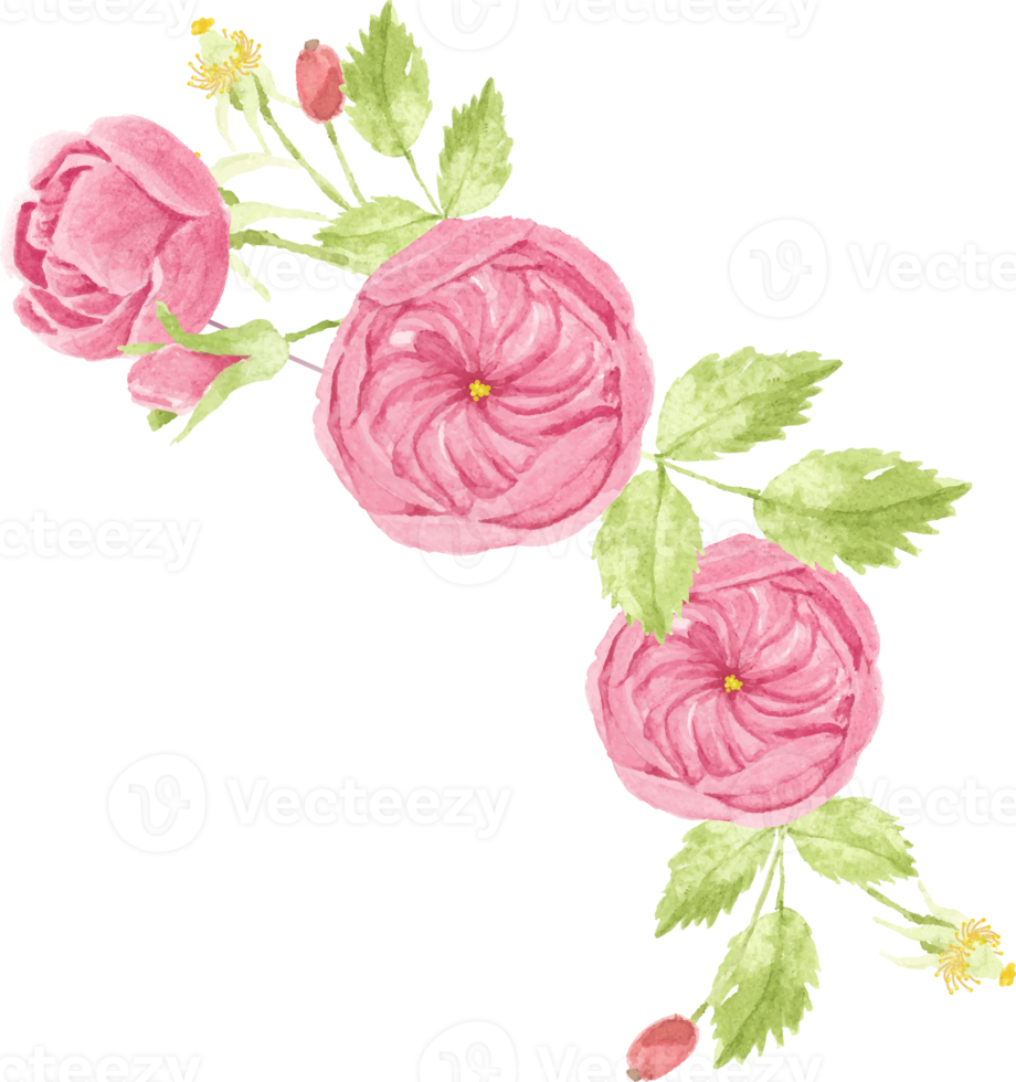 watercolor pink rose bouquet wreath frame for banner or logo png