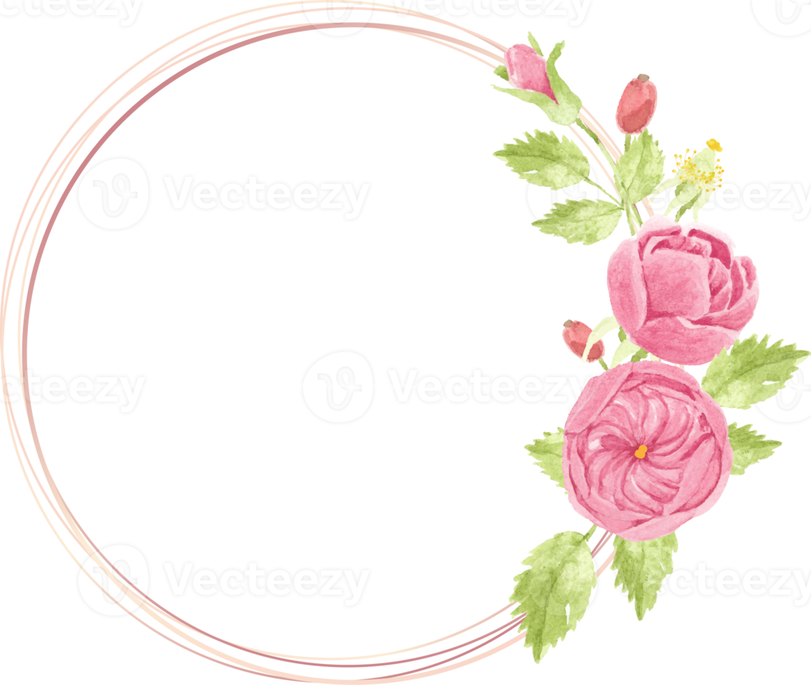 acuarela dibujar a mano rosa corona de rosas inglesas con marco geométrico png