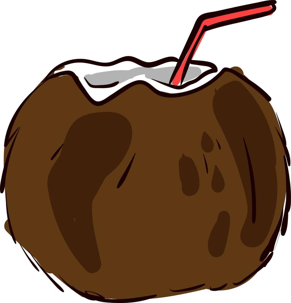 Drinking coconut, illustration, vector on white background.