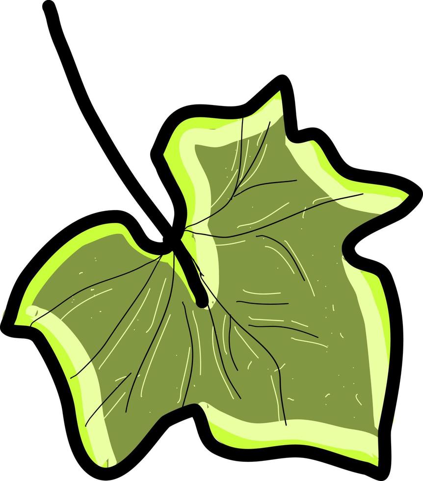 Hoja de árbol verde, ilustración, vector sobre fondo blanco.