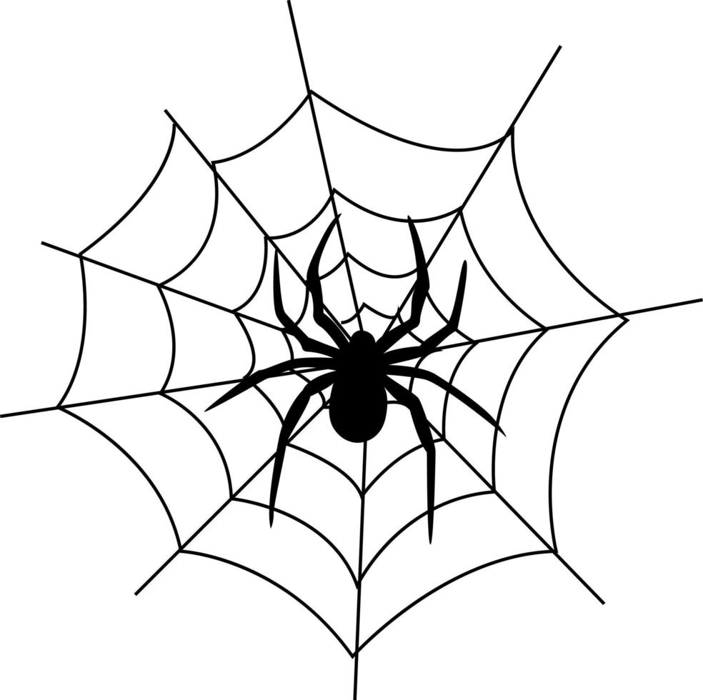 Spider web, illustration, vector on white background.