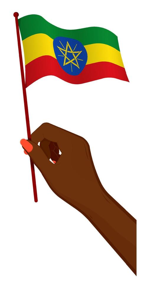 Female hand gently holds small flag of ethiopia. Holiday design element. Cartoon vector on white background