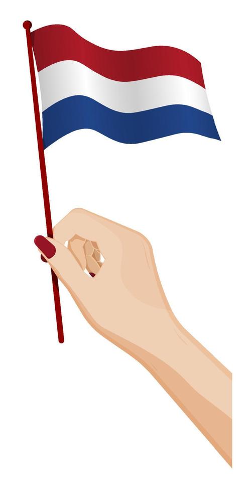 Female hand gently holds small flag of Holland, Netherlands. Holiday design element. Cartoon vector on white background