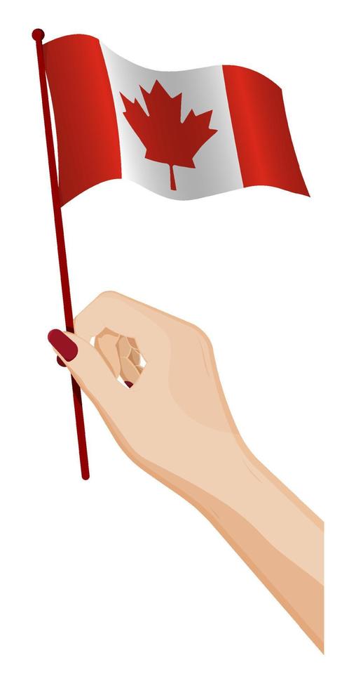 Female hand gently holds small Flag of Canada. Holiday design element. Cartoon vector on white background