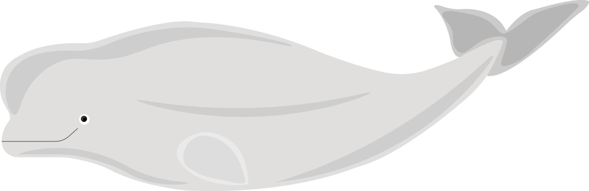 Gray dolphin, illustration, vector on white background.