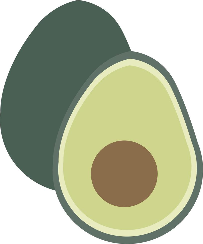 Avocado, illustration, vector on white background.