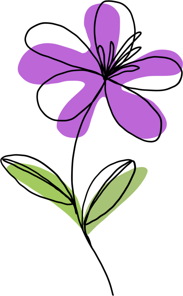 simplicity flower freehand continuous line drawing png