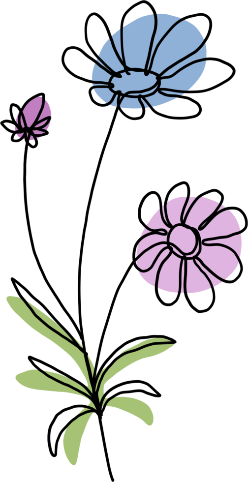 simplicity flower freehand continuous line drawing png