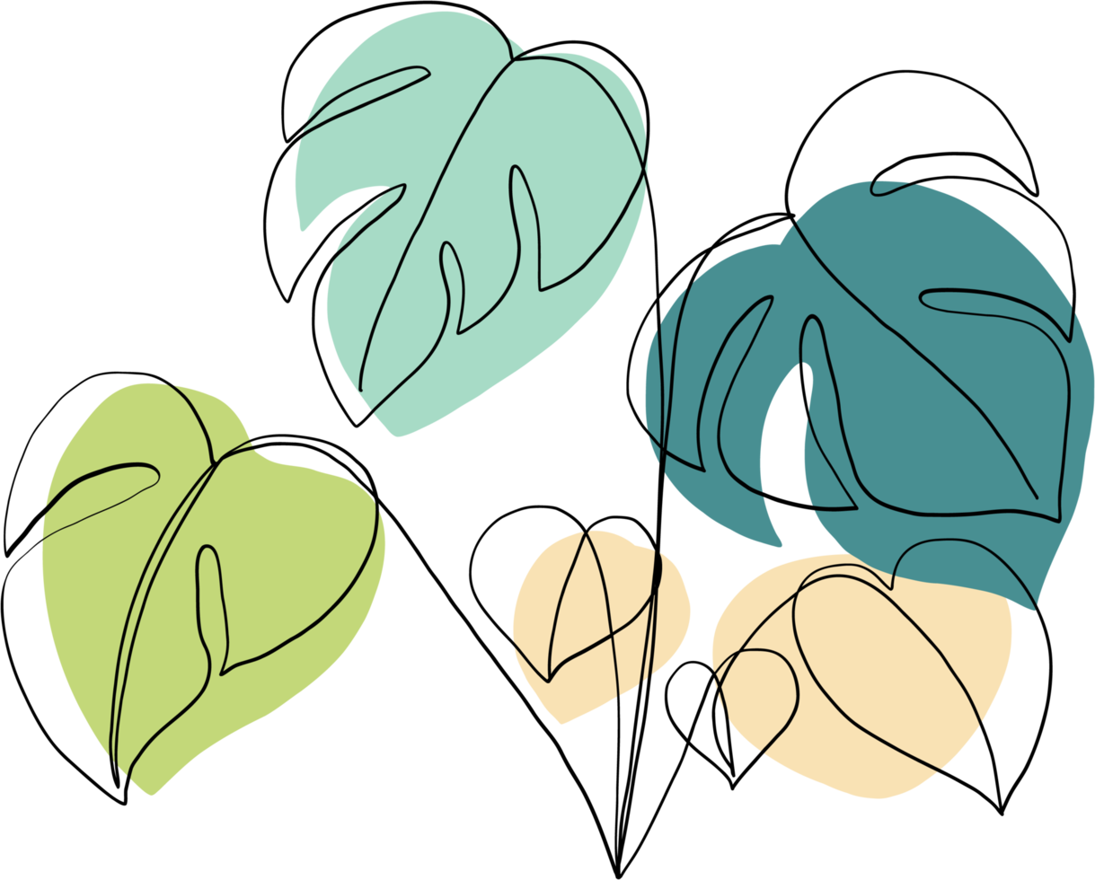 simplicity monstera plant freehand continuous line drawing png