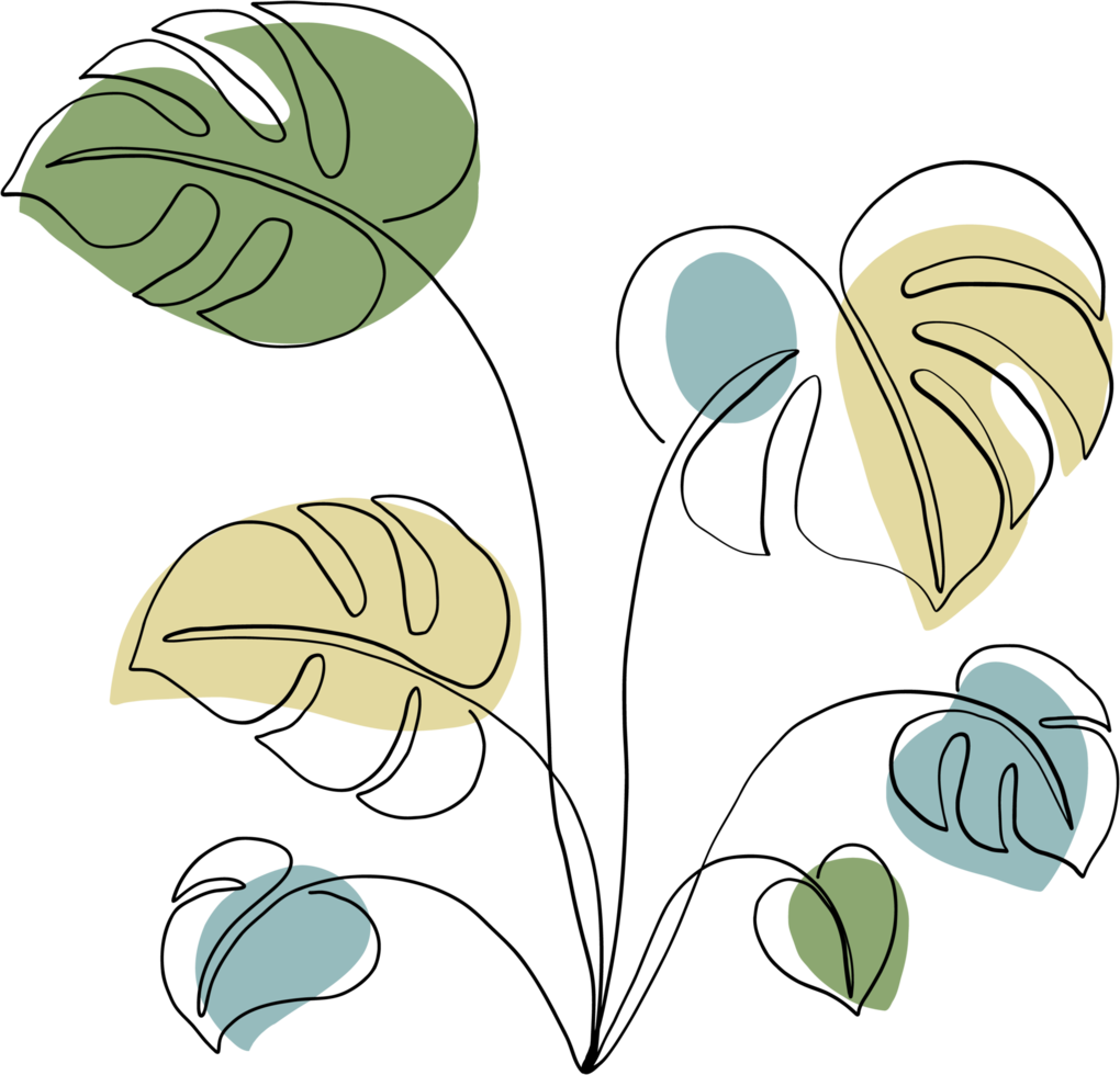 simplicidad planta monstera dibujo lineal continuo a mano alzada png