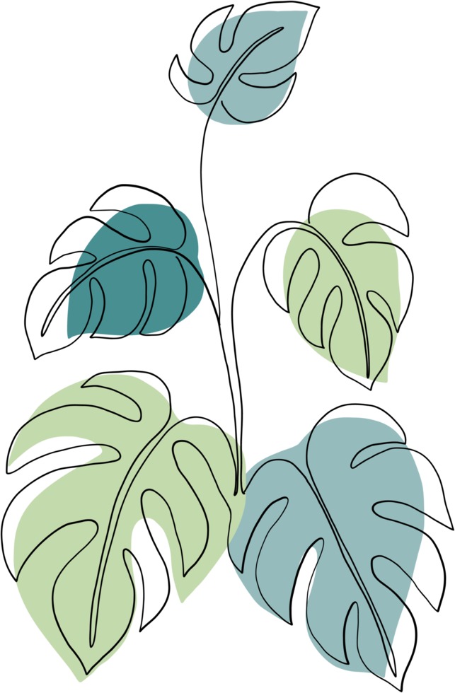 simplicity monstera plant freehand continuous line drawing png
