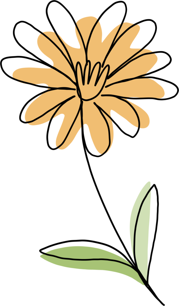 simplicity flower freehand continuous line drawing png