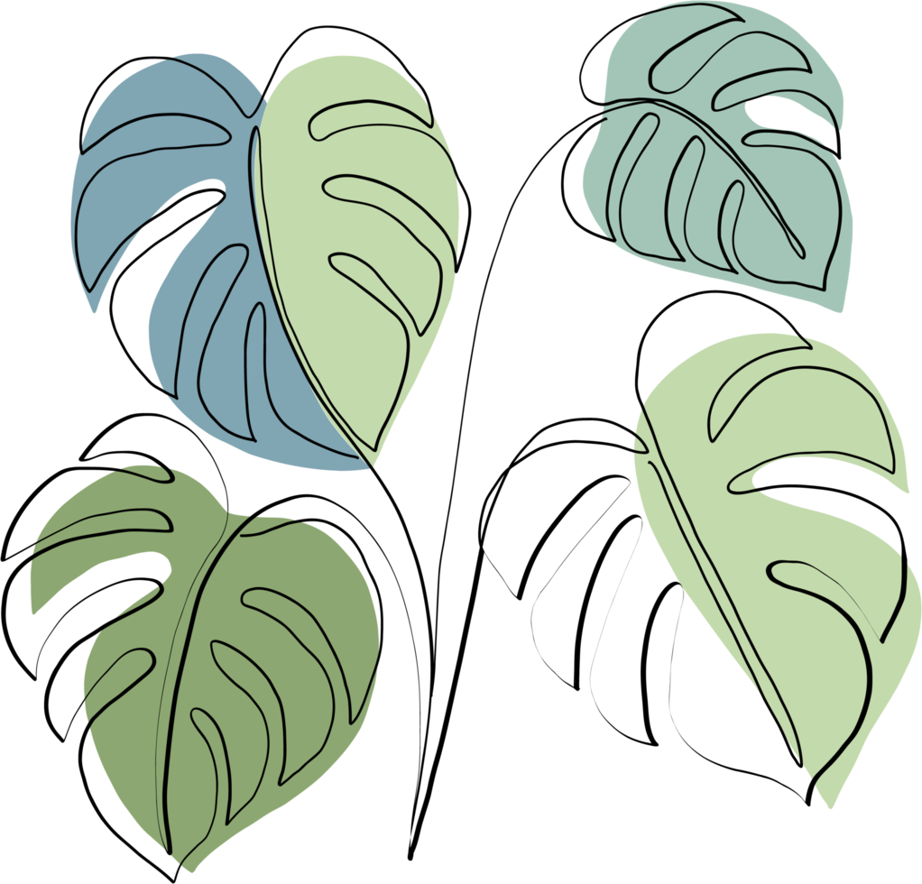 simplicity monstera plant freehand continuous line drawing png