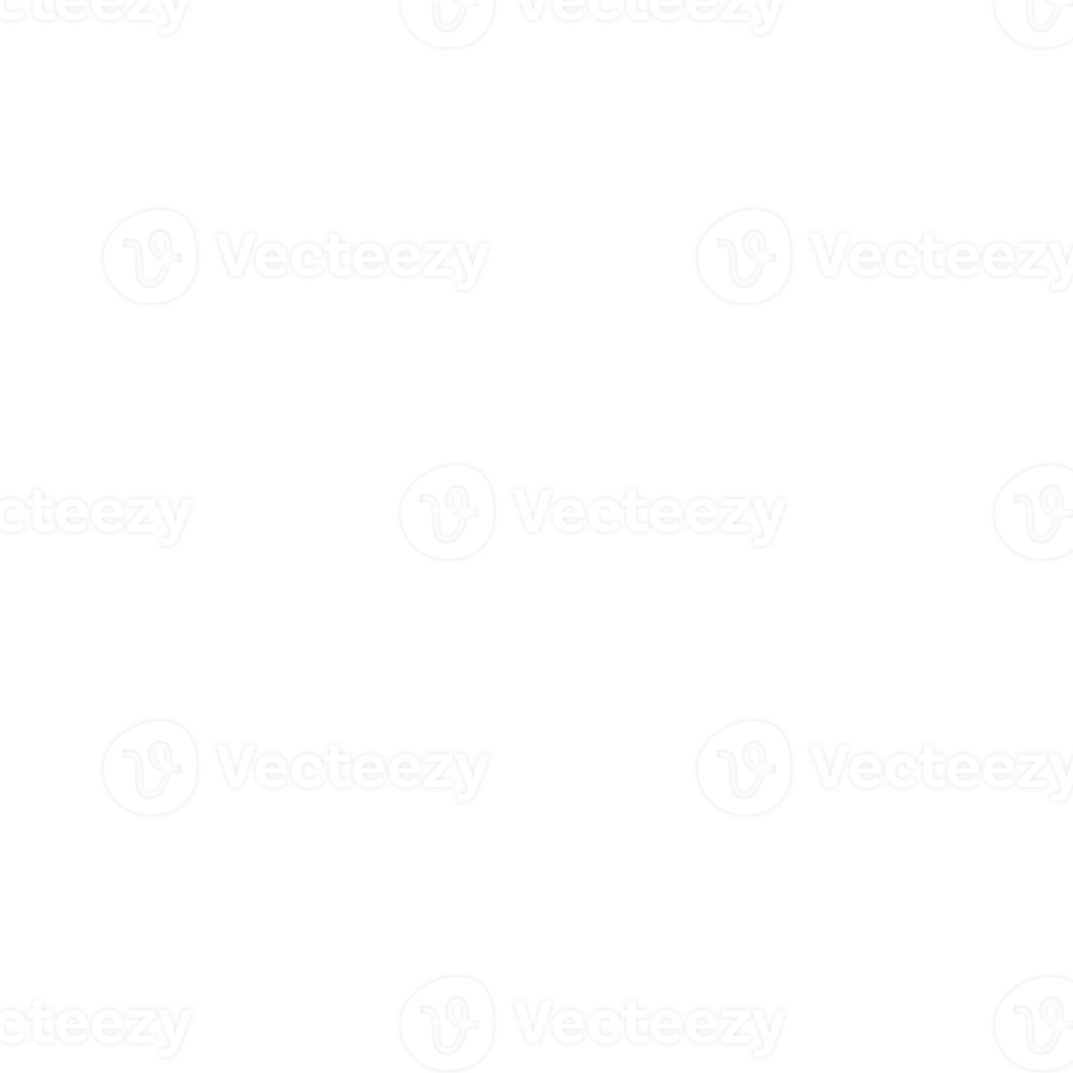 white snowflake icon png