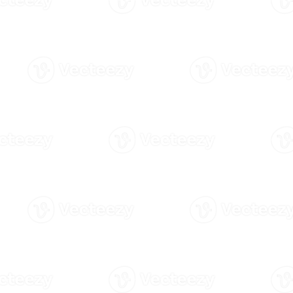white snowflake icon png