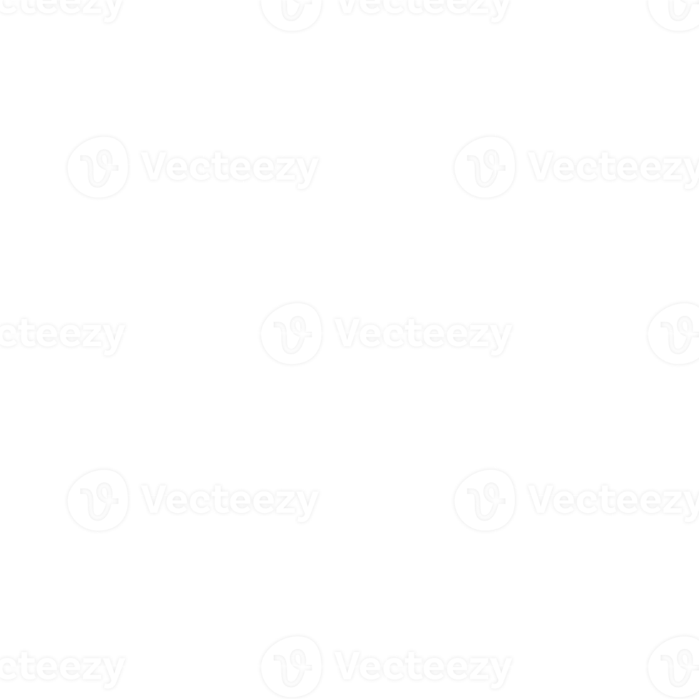 white snowflake icon png