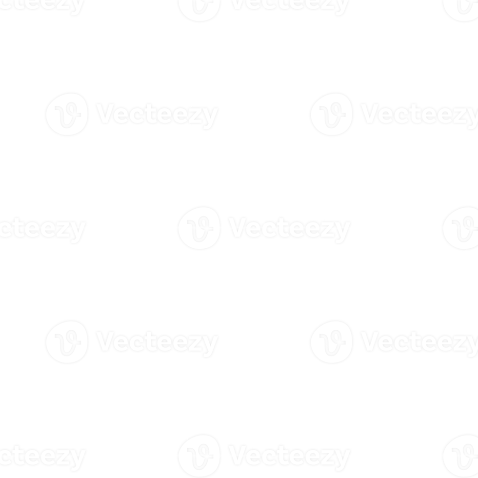 white snowflake icon png