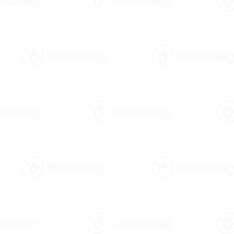 white snowflake icon png