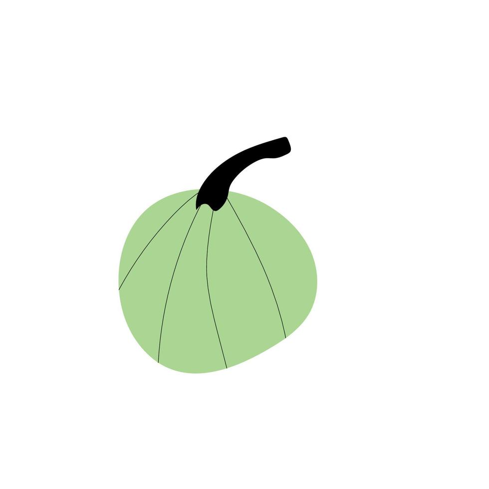 símbolo de agricultura de planta de calabaza de otoño. decoración de otoño comida fresca y saludable. vector