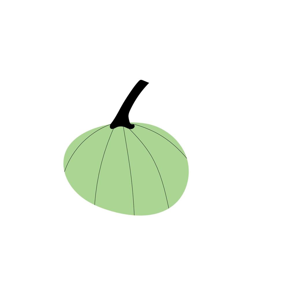 símbolo de agricultura de planta de calabaza de otoño. decoración de otoño comida fresca y saludable. vector