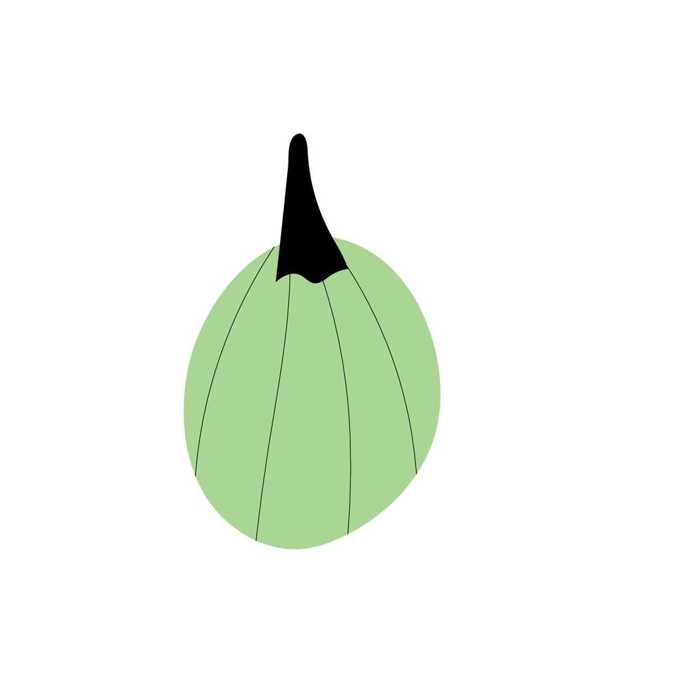 símbolo de agricultura de planta de calabaza de otoño. decoración de otoño comida fresca y saludable. vector