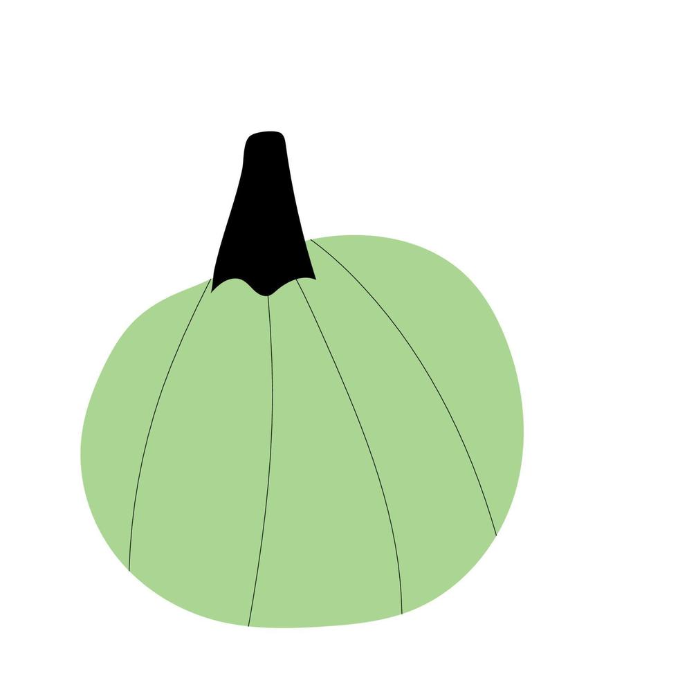 símbolo de agricultura de planta de calabaza de otoño. decoración de otoño comida fresca y saludable. vector