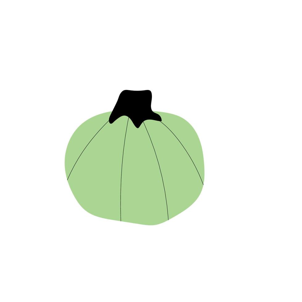 símbolo de agricultura de planta de calabaza de otoño. decoración de otoño comida fresca y saludable. vector