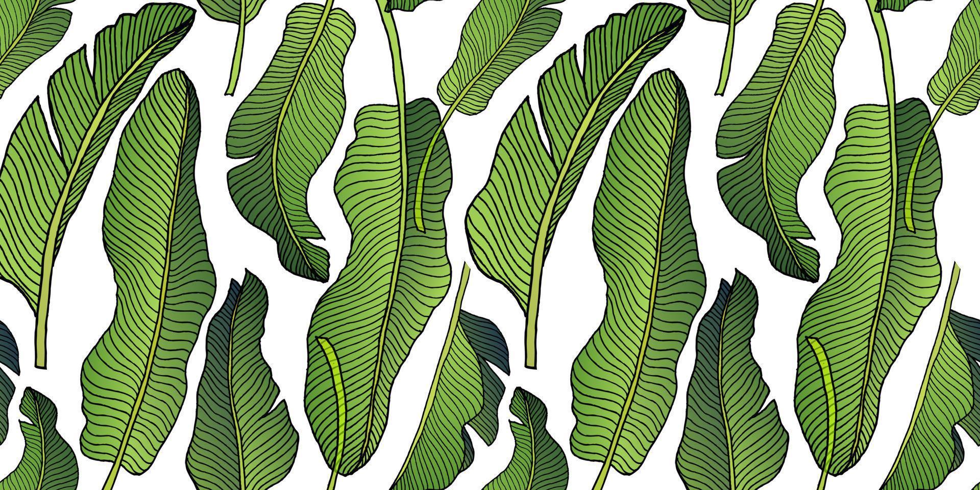 hojas de palma tropical, hoja de la selva sin costuras vector patrón floral de fondo