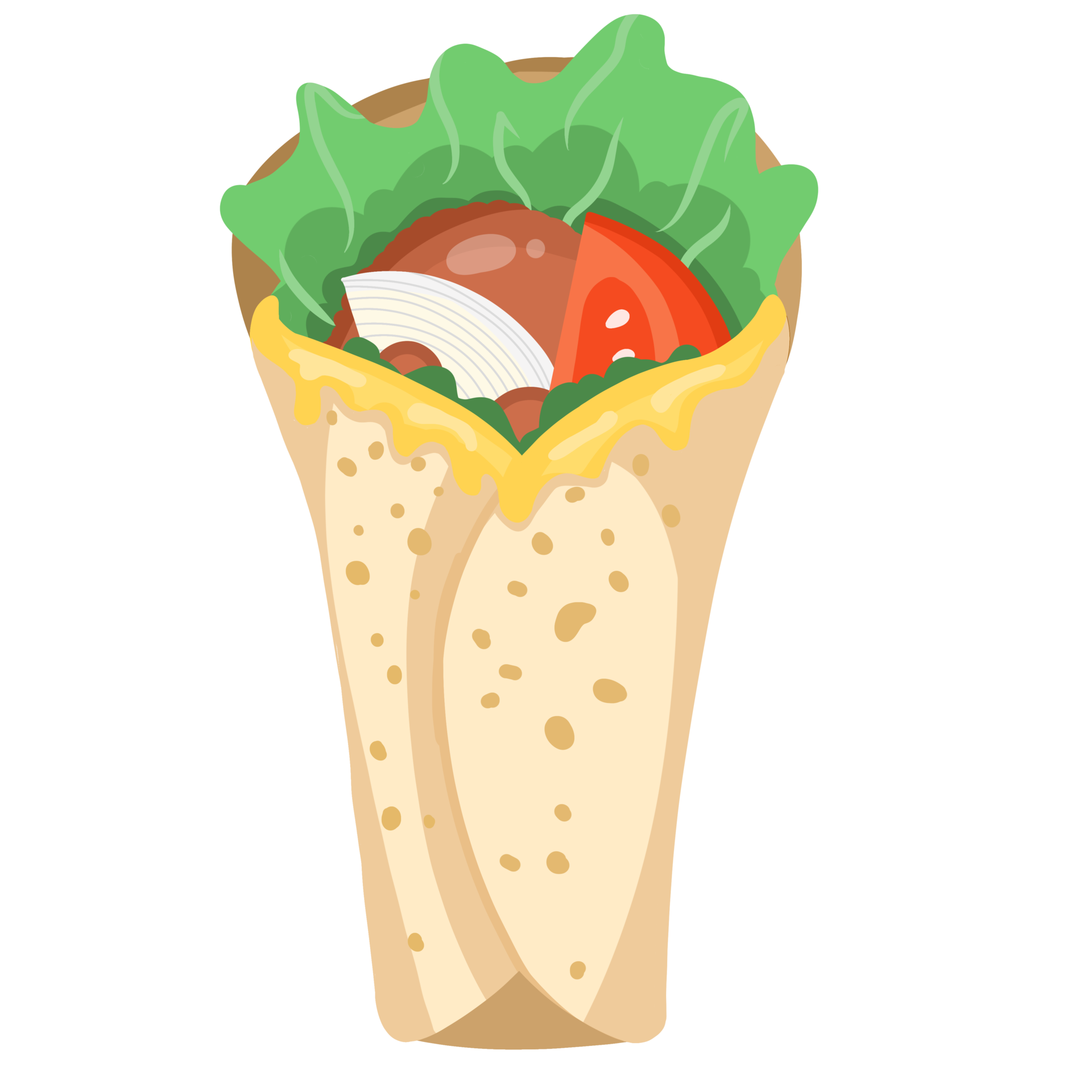 beef tortilla roll with salad food illustration 13744773 PNG