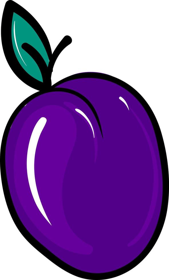 Flat plum, illustration, vector on white background.