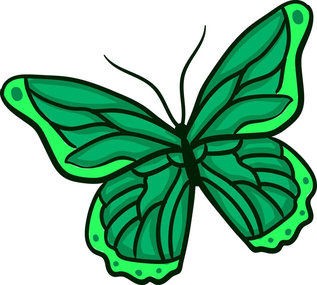 mariposa verde, ilustración, vector sobre fondo blanco