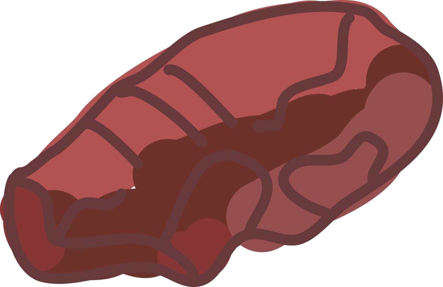 Steak, illustration, vector on white background.