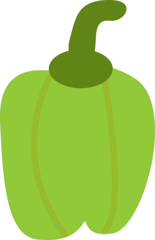 Green bell pepper, illustration, vector, on a white background. vector