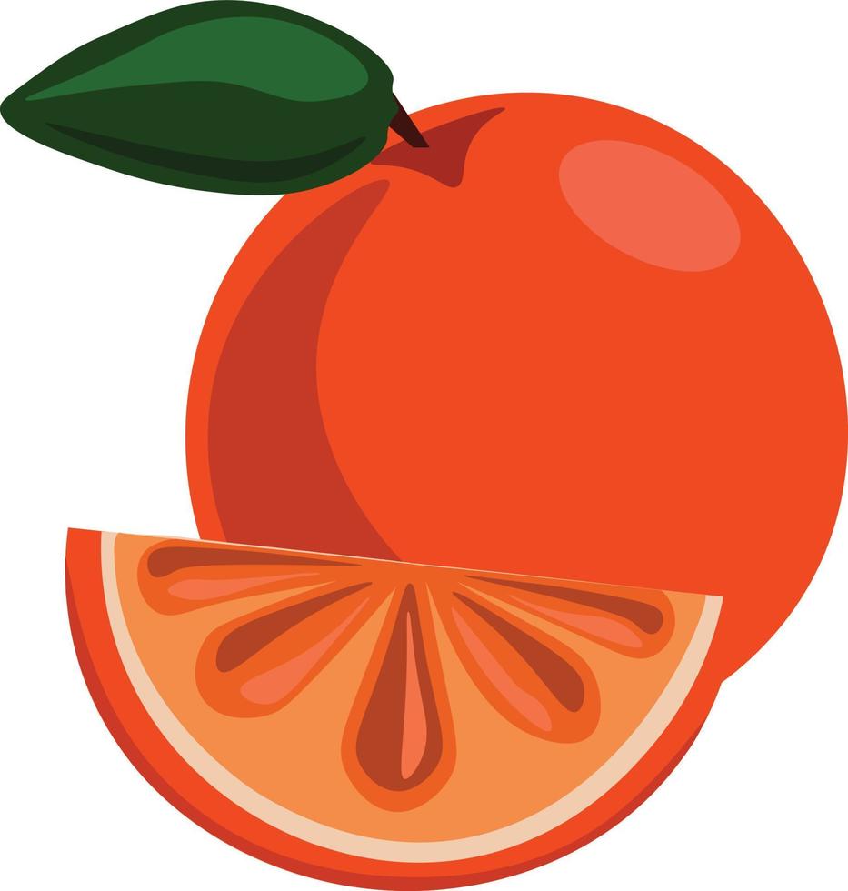 Orange fruit, illustration, vector on white background.