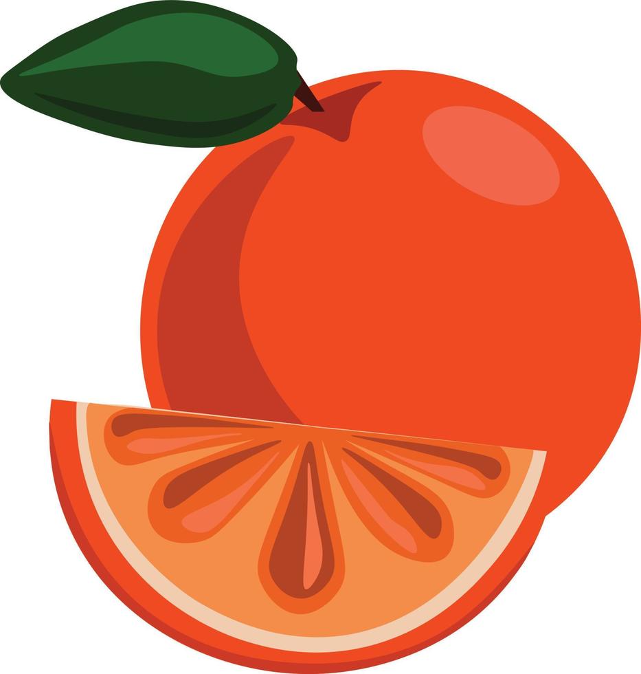 Fruta naranja, ilustración, vector sobre fondo blanco.