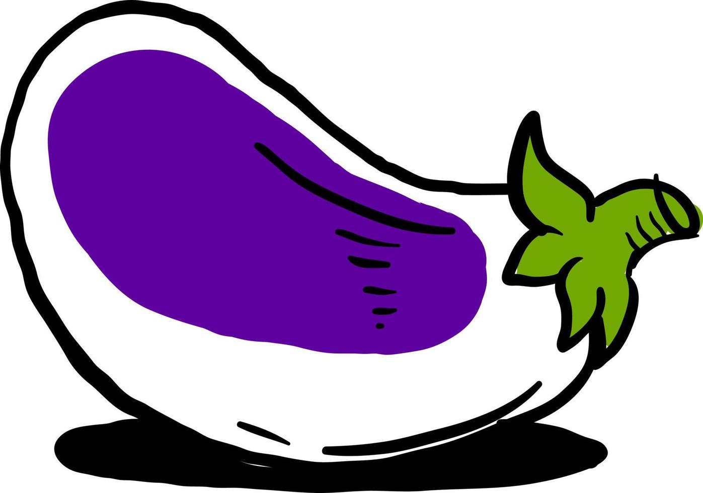 Eggplant drawing, illustration, vector on white background.