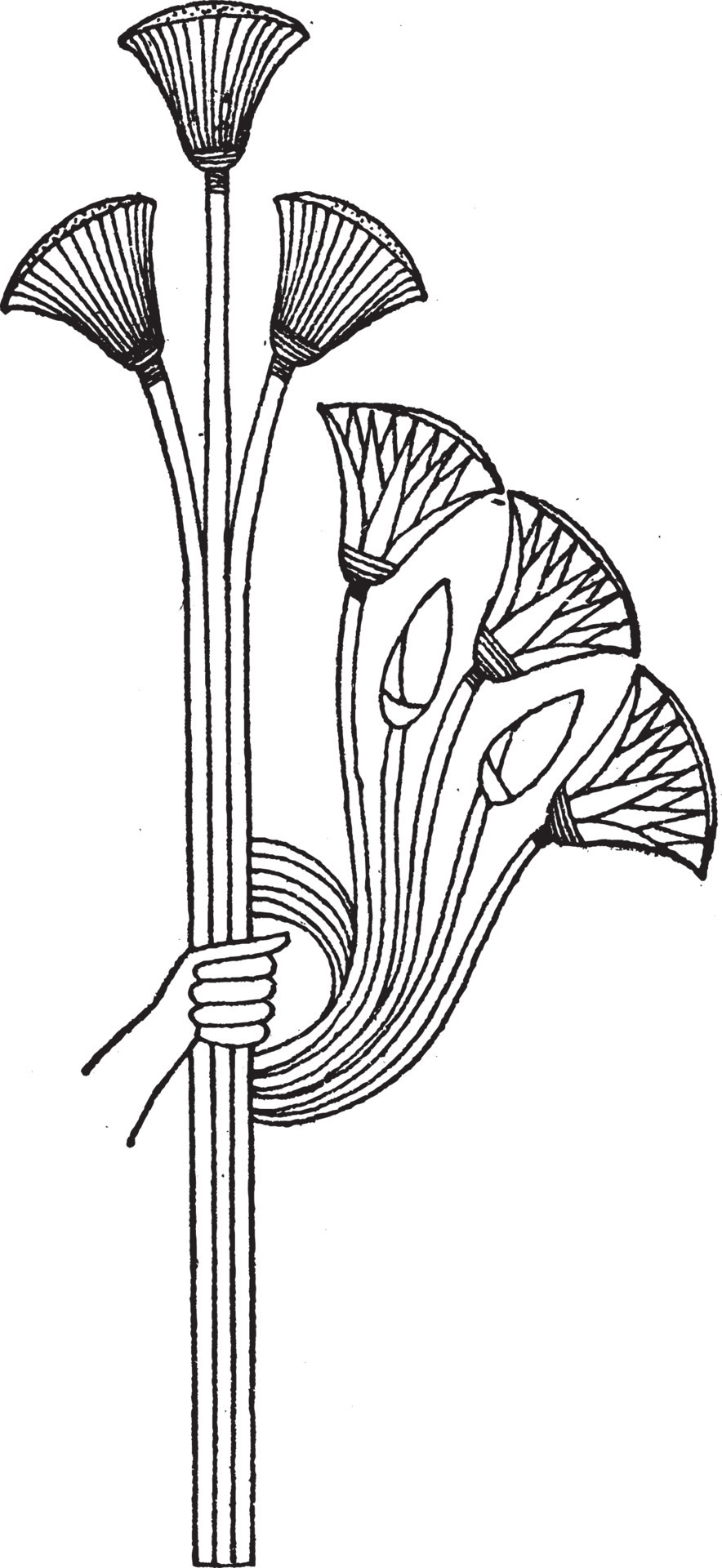 Idealized Lotus and Papyrus comes from an Egyptian mural painting