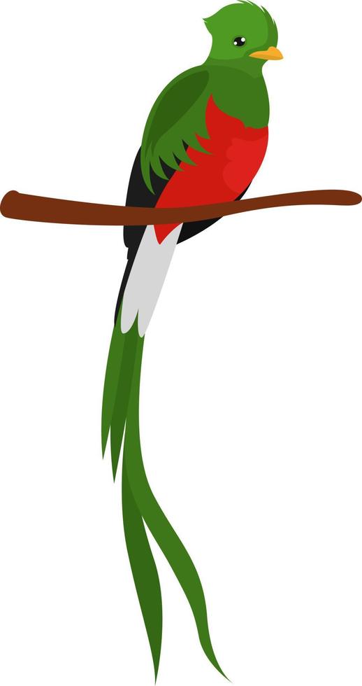 Green bird on tree, illustration, vector on white background