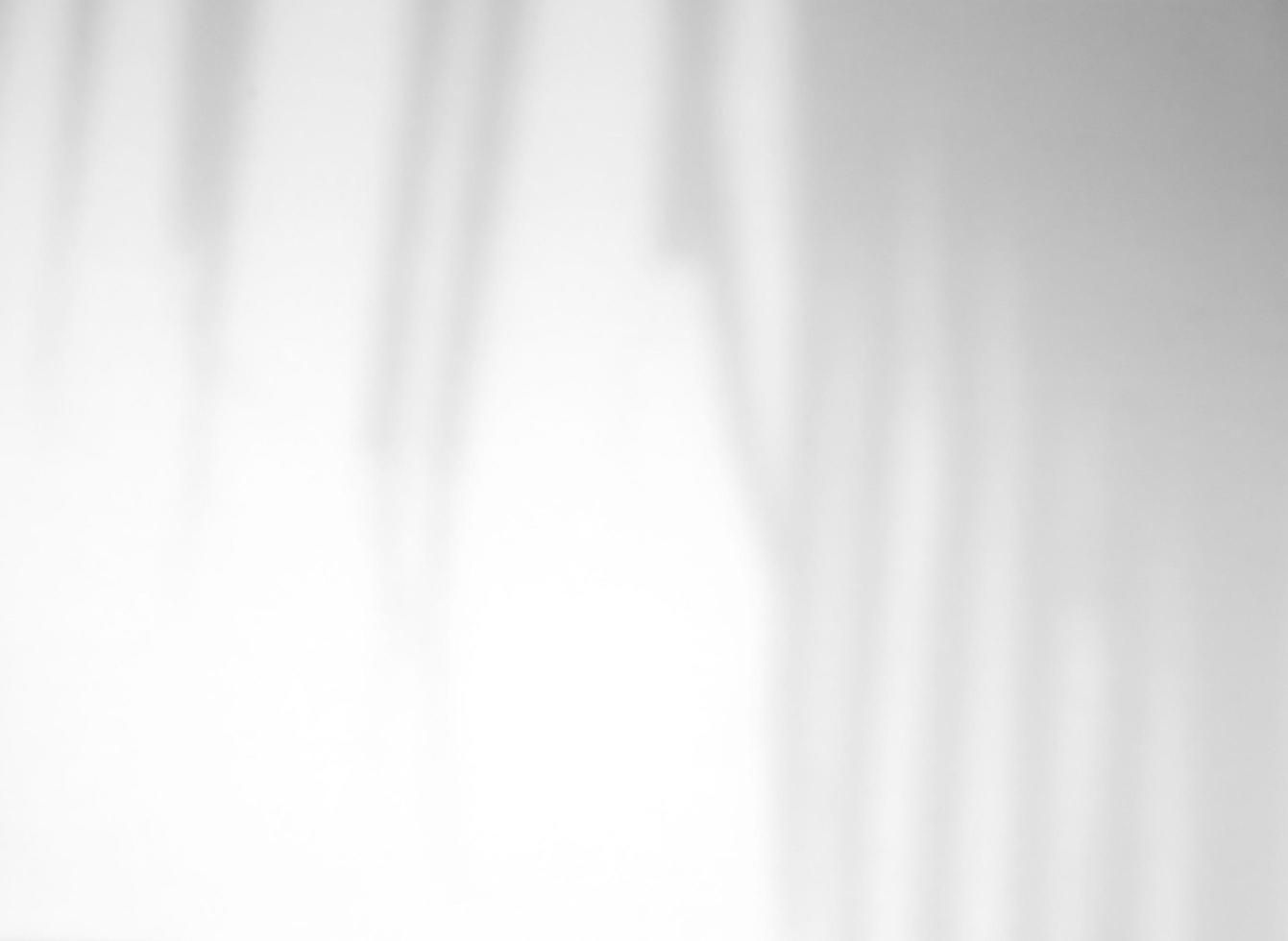 Realistic and organic leaves natural shadow overlay effect on white texture background, for overlay on product presentation, backdrop and mockup photo