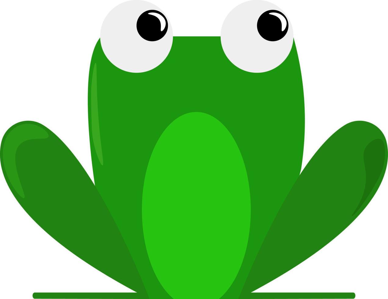 Frog, illustration, vector on white background.