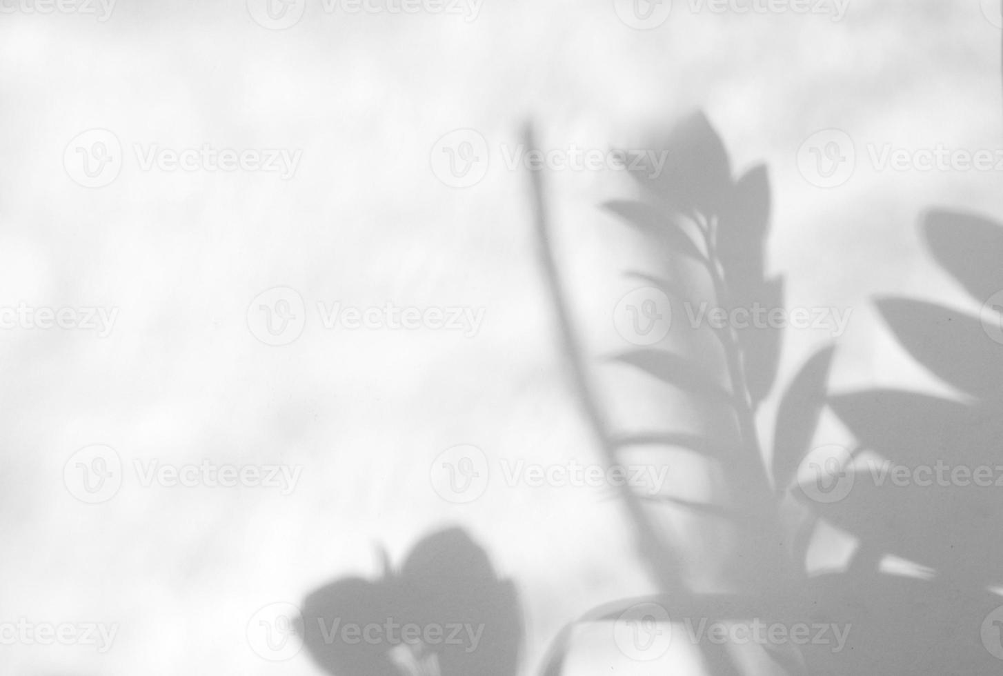 Leaves natural shadow overlay on white texture background, for overlay on product presentation, backdrop and mockup, summer seasonal concept photo