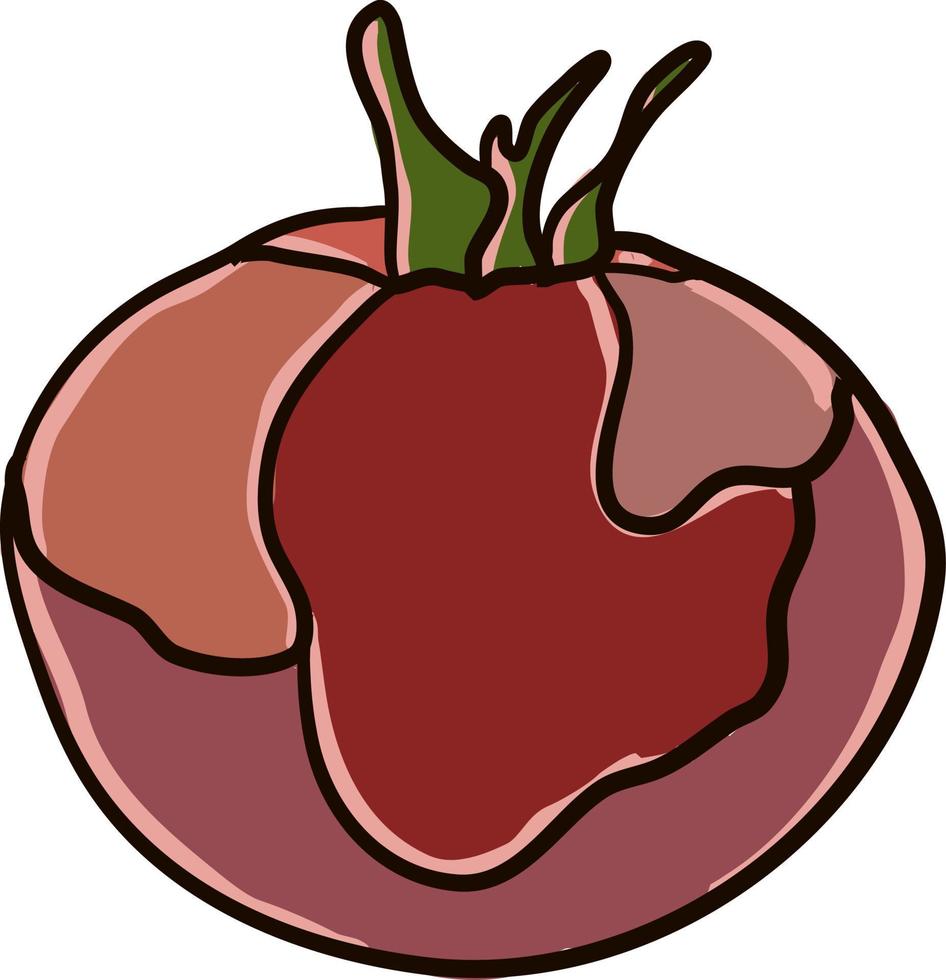 Red fresh tomato, illustration, vector on white background.