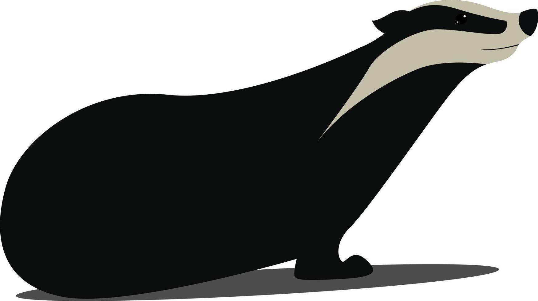 Badger, illustration, vector on white background.