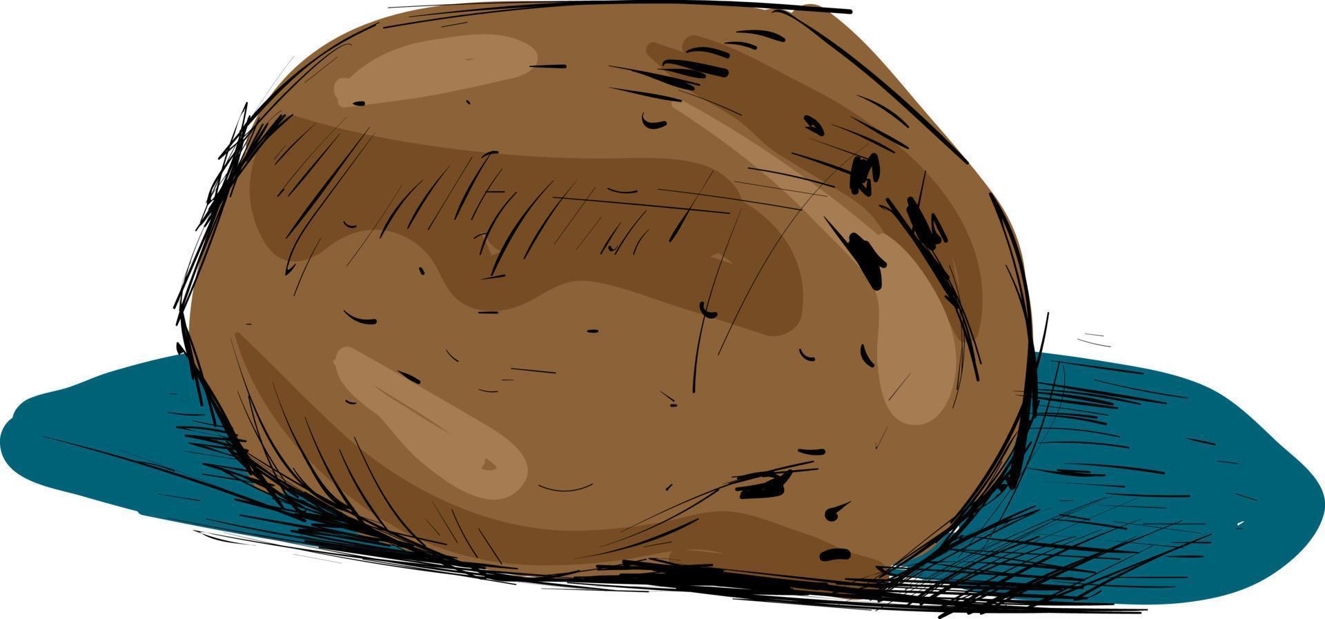 Drawing of potato, illustration, vector on white background.