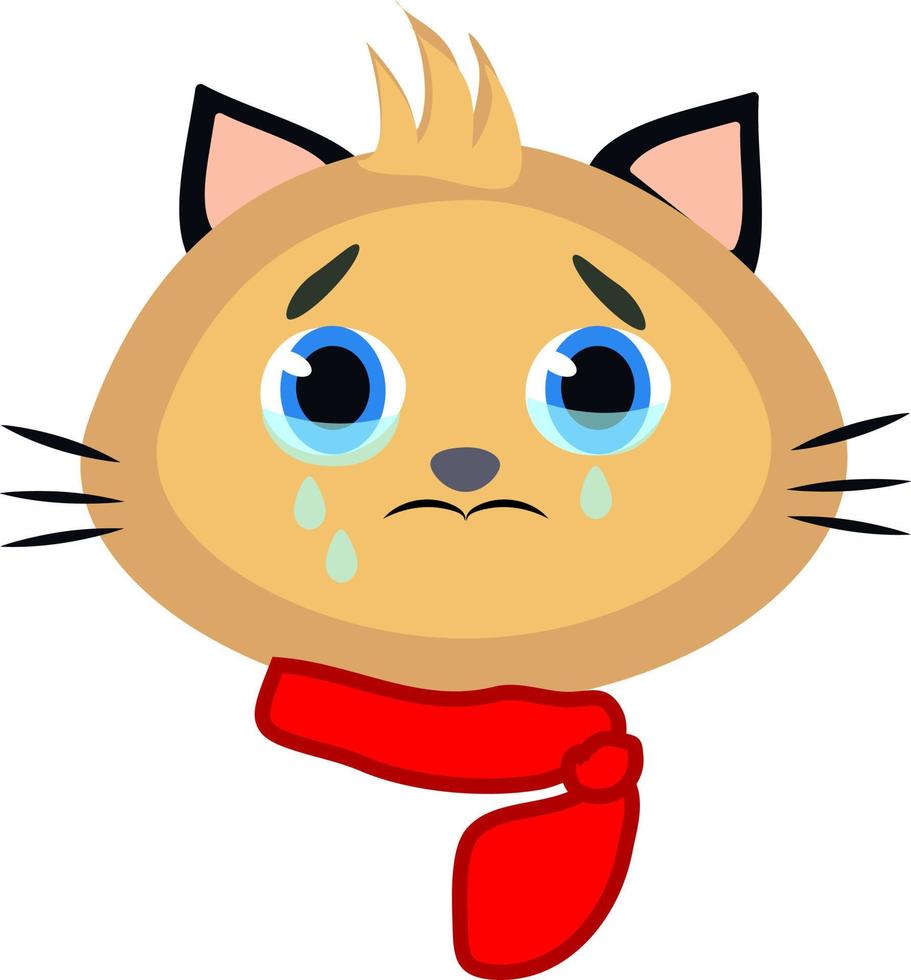 Crying cat, illustration, vector, on a white background. vector