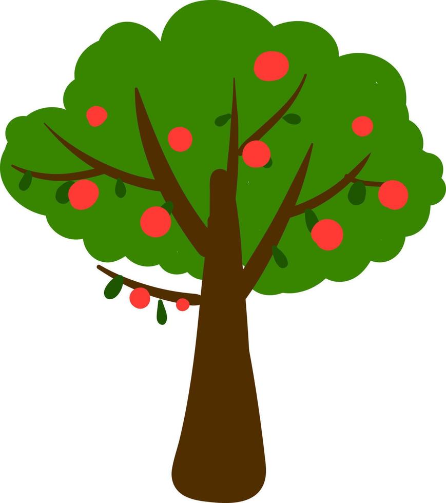 Tall apple tree, illustration, vector on white background.